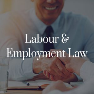 Labour & Employment Law Etobicoke
